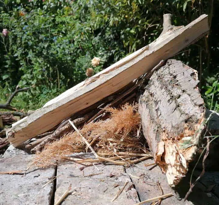 Photo of a lean-to fire lay on a side view. 