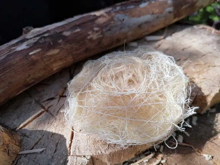 Photo of twine tinder. 