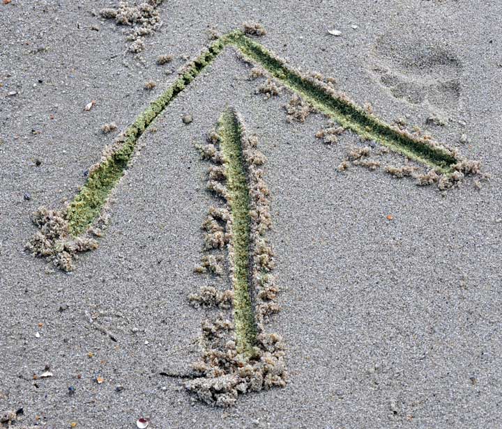 Image that shows an arrow marked in the sand, pointing to a direction. 