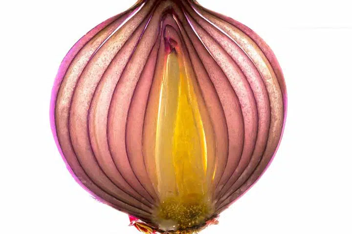 Image of a section of an onion, representing layers. 
