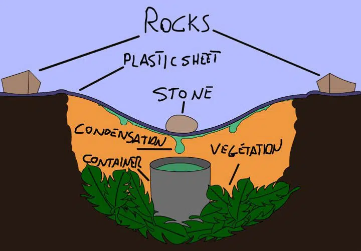 Image that shows a solar still. 