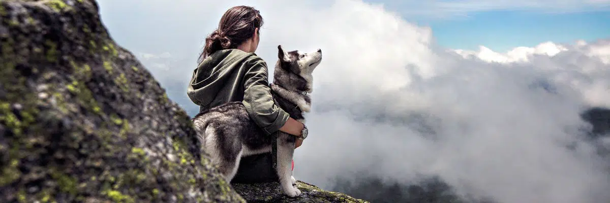 hiking-with-my-dog-featured