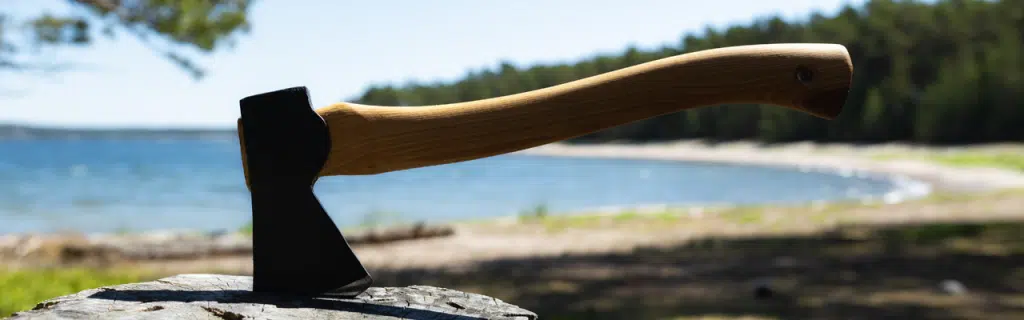 Photo of an axe on a woodland's background.