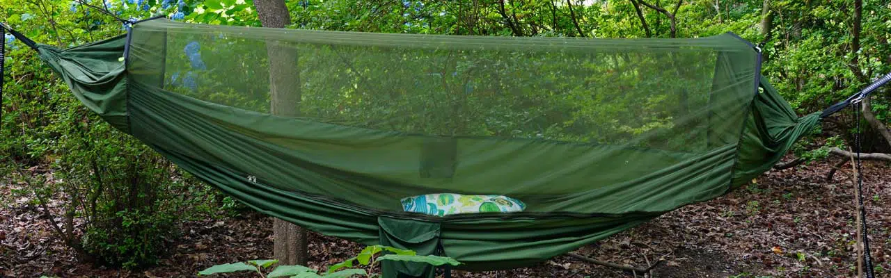 Featured image of a hammock with mosquito net.