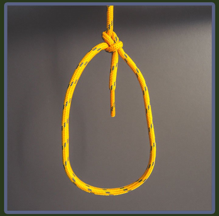 Photo of the bowline knot.