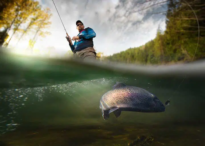 Photo of a fisherman and the fish, while being fished. 