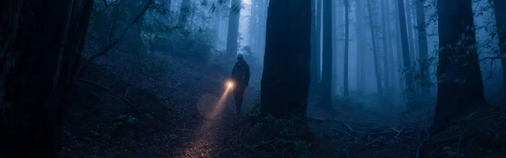 Photo of a man walking in the darkness in a wood using a flashlight.