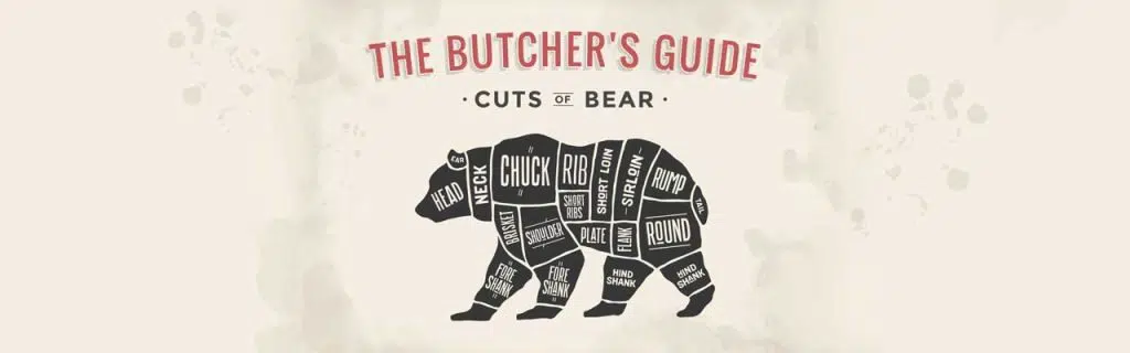 Image of the cuts of a bear.