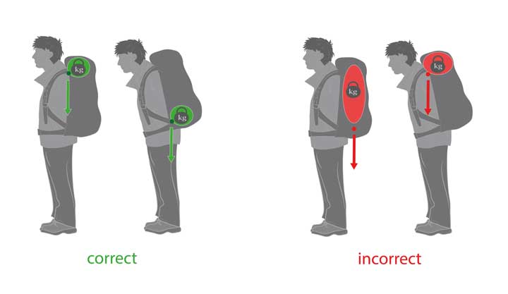 correct distribution of weight when wearing a backpack. 