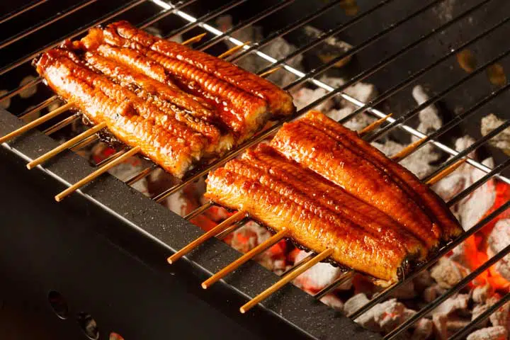 Broiled eel. 