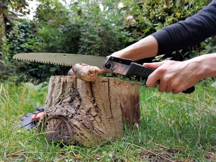 Sawing a piece of dry wood in the wilderness with a bushcraft saw. 