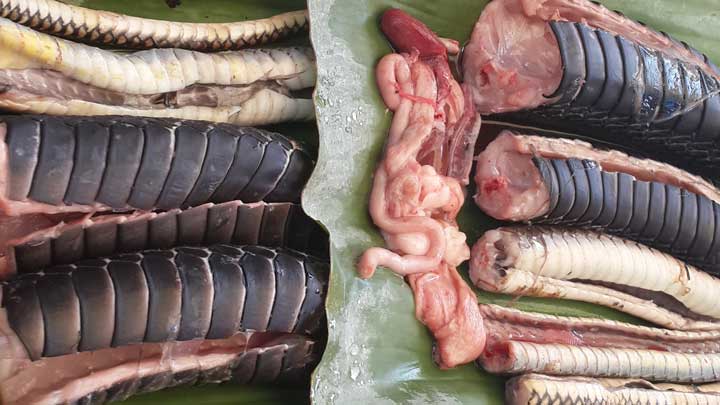 Raw snake meat Raw snake meat.