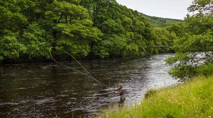 A fisherman spey casting for salmon using a fly rod on the River Orchy, Argyll, Scotland. 