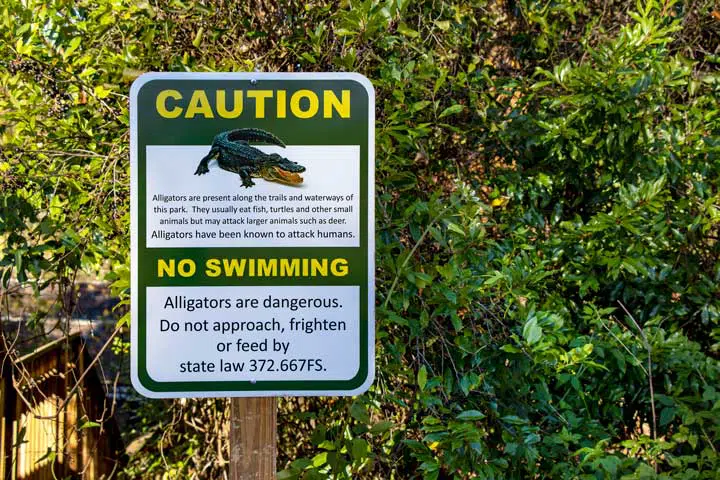 A sign warning hikers about the presence of alligators at the trailhead for the White Springs tract of the Florida Trail. 