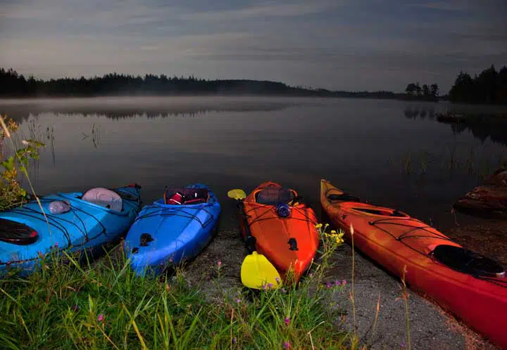 Four colorful kayaks lined up at the water's edge. 