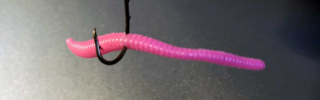 Photo of a plastic worm rigged.