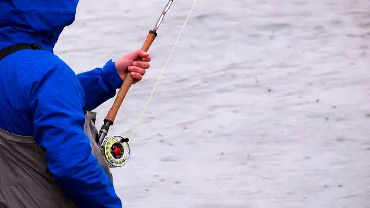 Close-up of a fly fisherman, holding the rod and fish in a river.