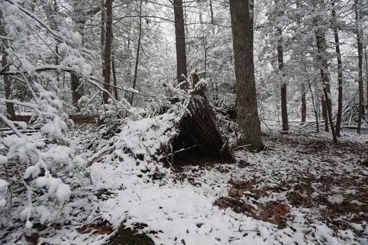 Primitive Winter A Frame Survival Shelter in the Blue Ridge Mountains near Asheville, North Carolina. 