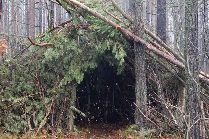 primitive survival shelter in forest.  