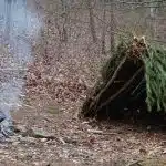 Blanket, shelter, fire in the forest.