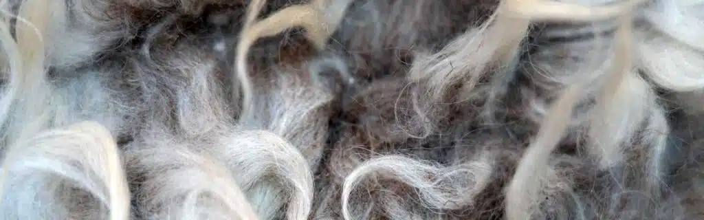 photo of rough wool