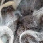 photo of rough wool